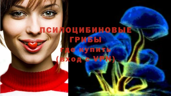 экстази Михайловск