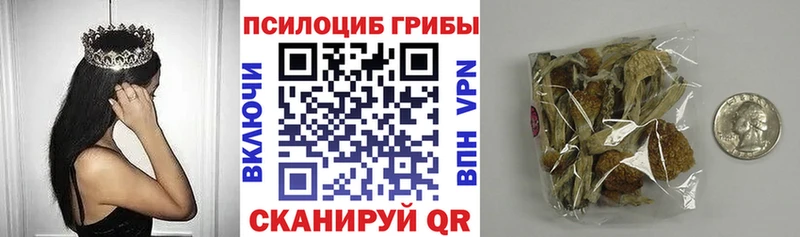 купить наркотики цена  Приволжск  Псилоцибиновые грибы GOLDEN TEACHER 